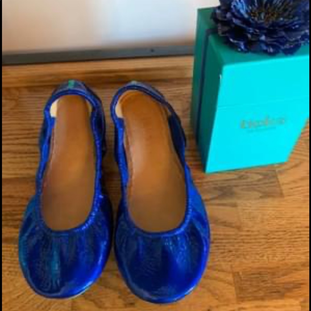 Sapphire Tieks Size 10